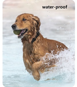 Mini rastreador impermeable para perros y animales, alerta de movimiento, rastreador de collares para gatos, rastreador de mascotas recién llegado - Product Image 4