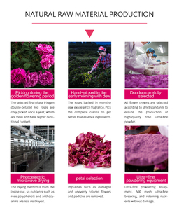 Fanglei Directe Leverancier Gedroogde Kruiden Extract Plant Gezondheid Natuur Biologische Food Grade Rozenbloemblad Rozenpoeder Voor Thee - Product Image 3