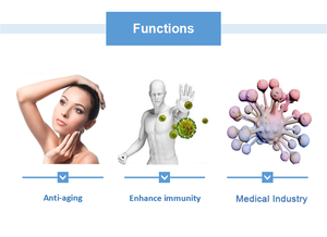 공장 직송 고순도 꿀 로얄젤리 6% 4% 2% 10-HDA 아콘산 동결건조 로얄젤리 분말 비 밀크 - Product Image 5