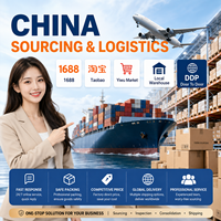 Logistique aérienne et maritime DDP Chine-Inde, transitaire porte-à-porte, agent maritime, LCL, FCL, service douanier, entreposage
