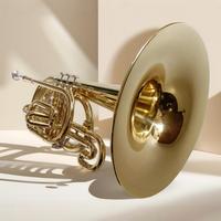 30/5000 Factory Custom Wholesale Melofonos Gold Lacquer Musical Instruments Exquisite Packaging Case Spot Delivery Brass F Tone