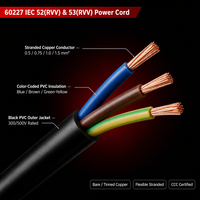 HONGPAI 60227 IEC 52&53 RVV 0.75mm² 2 Inti Kabel Fleksibel Berlapis PVC Konduktor Tembaga 300V Bersertifikasi CCC Kabel Daya OEM ODM