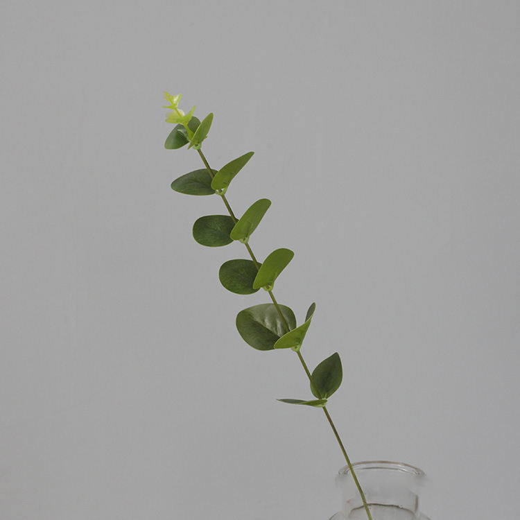 เขียวเล็ก