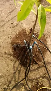 Kit d'irrigation goutte à goutte de haute qualité en Chine, 50 pièces, 50 cm, avec raccords de tuyaux PE pour serres et cultures maraîchères - Product Image 6