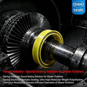 Reduzir Vazamentos de Vapor, Selos Energizados por Molas para Eficiência de Turbinas, Kit de Selos PTFE de Alta Confiabilidade - Product Image 2