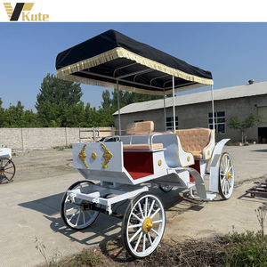 Carruaje Turístico Retro Elegante, Eléctrico/Con Caballos, Carruaje Real para Turismo en Venta - Product Image 4