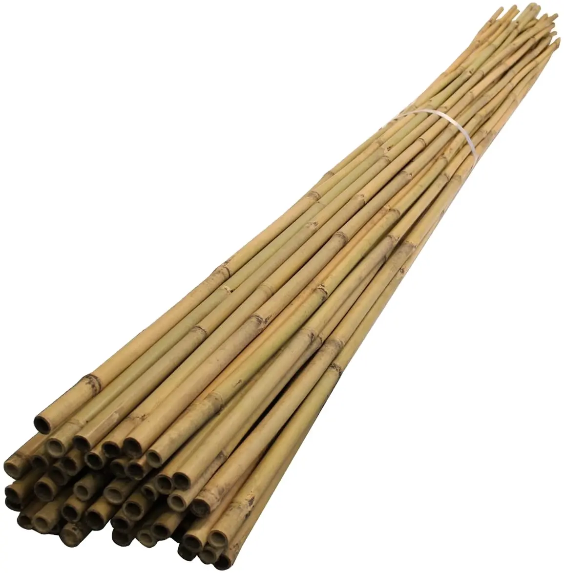 Pali di bambù 4 piedi, 1/2 "di spessore pali di bambù naturale al 100% palo da giardino