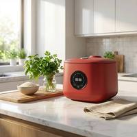 Autocuiseur de riz automatique 3L OEM à moule privé, panneau tactile, 600W, revêtement antiadhésif, 6 programmes, faible teneur en sucre, direct usine