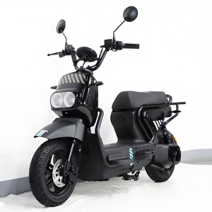 Factory Direct Selling New Adult Bike 350W 500W 48V Scooter City Ev Motorcycle Cycle With YL E-36 Powerful 350W Brushless <b>Hub</b> Mo - Product Image 2
