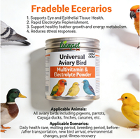 Poudre d'électrolytes universelle OEM/ODM pour oiseaux d'aviarium, soutien immunitaire, réapprovisionnement rapide en électrolytes pour une croissance saine des plumes
