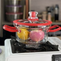 Marmite en verre Borosilicate, 1 pièce de 20CM de haut, avec couvercles résistants à la chaleur, casseroles de luxe colorées