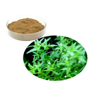 Best price Hedyotis Diffusa Extract Spreading Hedyotis Herb Extract of high-quality