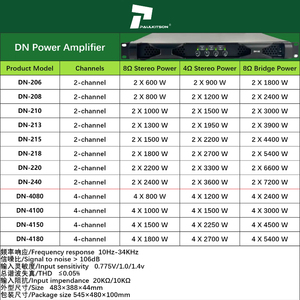 Amplificatore di Potenza a 2 Canali Paulkitson DN208 DN218, Amplificatore Professionale Classe <span class=keywords><strong>D</strong></span>, Amplificatori Audio Professionali - Product Image 2