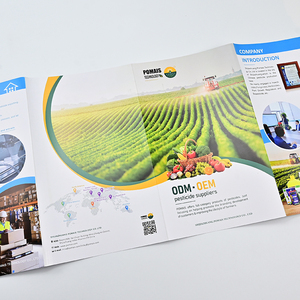 הדפסת קטלוגים דיגיטליים בצבע מלא, פליירים פרסומיים בהתאמה אישית וחוברות - Product Image 4