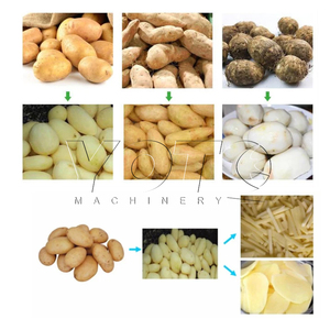 Petite machine à éplucher automatique pour le nettoyage des pommes de terre machine à éplucher les patates douces et le gingembre commerciale en acier inoxydable - Product Image 3