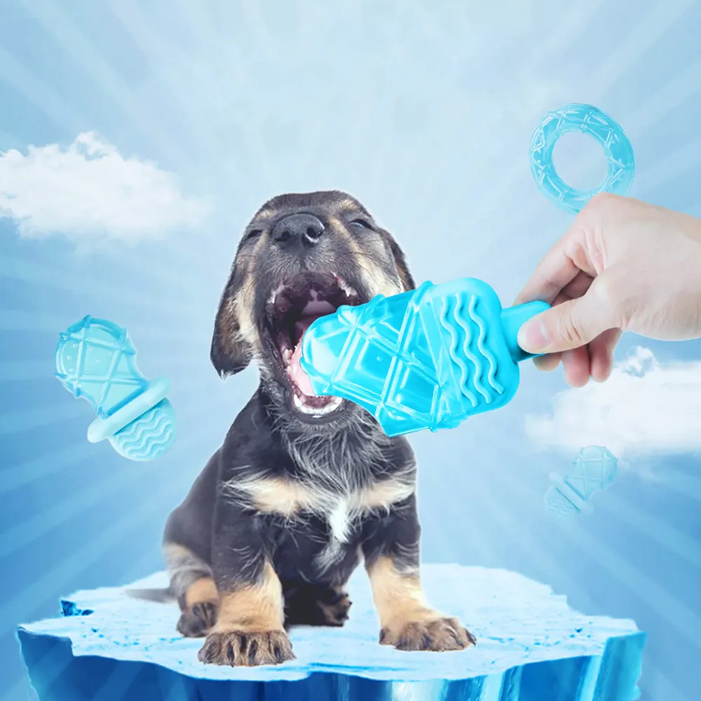 Jouets de refroidissement pour chien Jouets à mâcher flottants d'été durables et imperméables pour chien