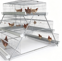 Cage à poules pondeuses de type 3 à 96 niveaux pour ferme avicole commerciale
