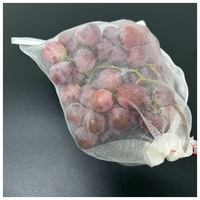 100% Nieuwe PE Beschermende Mesh Zakjes 20x30cm Niet-toxisch Duurzaam Anti-Insecten Net voor Fruit Guave & Mango