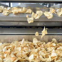 Proveedor Chino de Snacks Saludables de Frutas y Verduras Exóticas de Alta Calidad, Papas Fritas Saladas al por Mayor