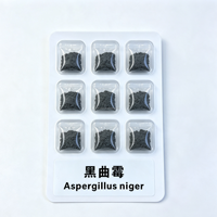 Poudre de spores d'Aspergillus Niger 5 milliards UFC/g Enzymes Additif alimentaire stimulant pour la production quotidienne d'œufs chez la volaille