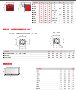 موقد زيت خفيف Riello 40 G10 منخفض الضوضاء وعالي الكفاءة لغلايات قطع غيار سخان الزيت الحراري بالديزل - Product Image 6