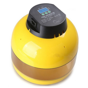Mini incubadora de huevos de pavo real, pollo, más del 98%, tasa de eclosión JN10, en venta - Product Image 1