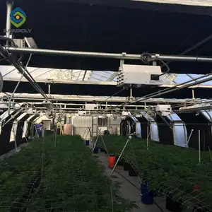 Sainpoly completamente automatizzato coltivare tende ortaggi agricoli leggera privazione struttura serra per la vendita