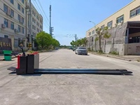 Chariot élévateur électrique HSLLIFT en acier inoxydable de 3 tonnes avec moteur AC pour l'industrie aquatique et les environnements humides