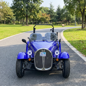 Nouvelles Voitures de Luxe en Promotion : Voiture Électrique Classique Vintage 2 Places pour le Tourisme et les Visites Touristiques - Mini Cart Classique - Product Image 1