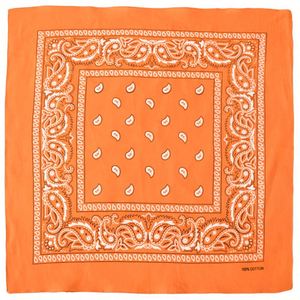 Proveedor Principal de Impresión y Personalización de Bandanas, Bandana Personalizada con Logotipo para Ferias Comerciales y Conferencias - Product Image 5