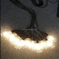 Guirlandes lumineuses LED en verre luxueuses LEXI, alimentées par courant alternatif, blanc chaud, pour la décoration de scènes de mariage et de fêtes d'hôtel
