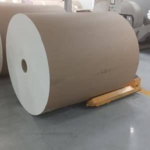 Rollos de Papel para Café Ecológicos, Material de Papel Kraft con Revestimiento de PE en la Base - Product Image 4