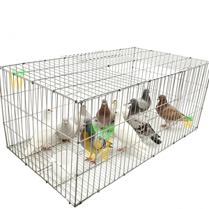 Accessoires pour cage à perroquets, cage à oiseaux, cage à pigeons, jaulas para palomas, petite cage à oiseaux - Product Image 1