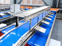 Fruitwas- en sorteerlijn met bubbelspoelmachine, borstelrol, luchtdroger, wasmachine en sorteermachine voor sinaasappels, appels en avocado's.