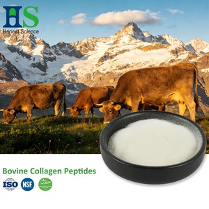 Fourniture de Matière Première de Peptides de Collagène Bovin Hydrolysé pour les Articulations, la Croissance des <span class=keywords><strong>Cheveux</strong></span> et la Santé Osseuse - Product Image 1