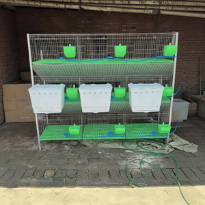 Jaula Comercial <span class=keywords><strong>para</strong></span> Engorde y Cría de <span class=keywords><strong>Conejos</strong></span> de Raza de Pelo Largo, 9 Posiciones, Alimentación/Bebedero Automático - Product Image 2