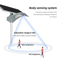 Lampe solaire LED pour extérieur, étanche, pour jardin, allée, village, route, IP66, avec détecteur de mouvement, éclairage pour zones éloignées