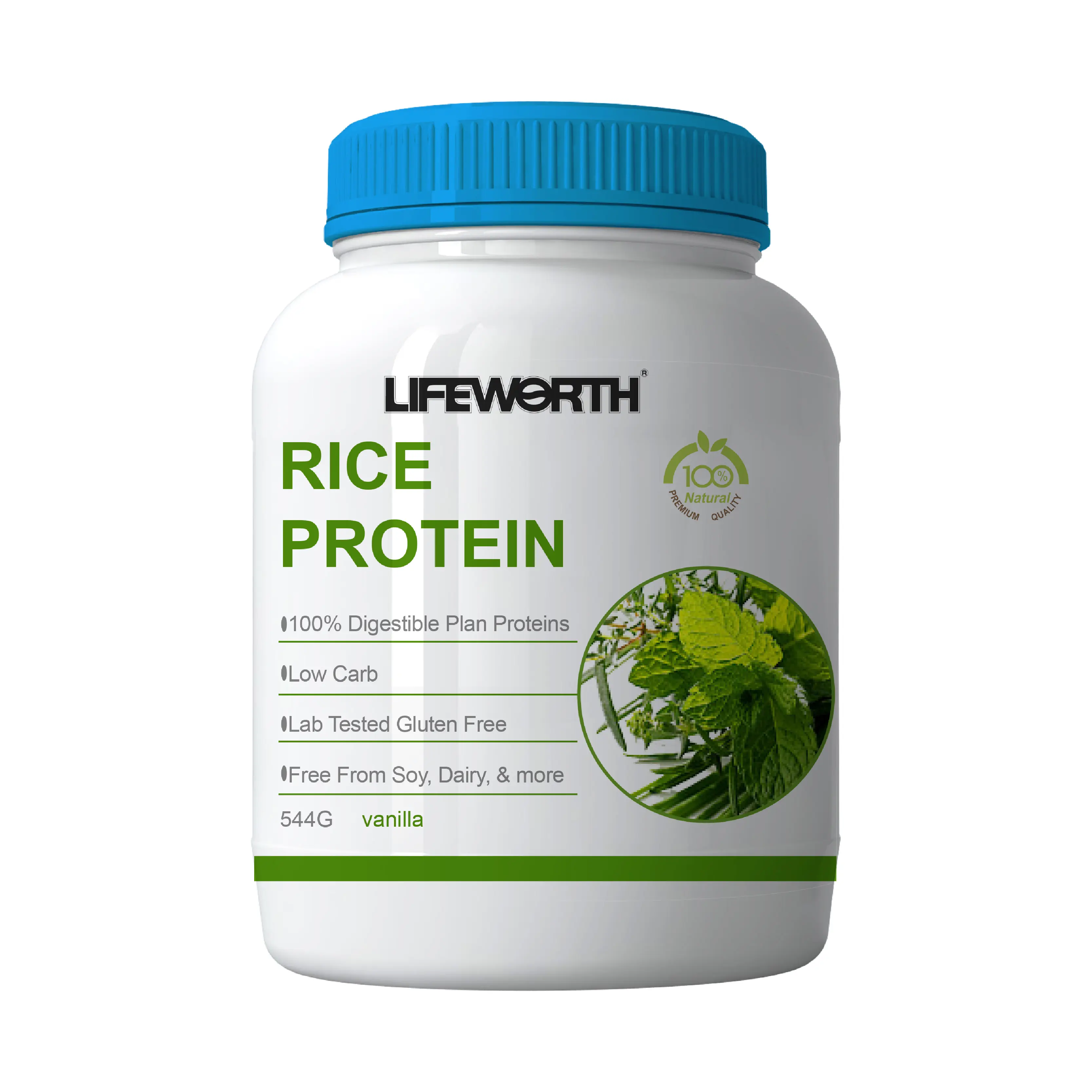 Lifeworth healthcare proteine di riso idrolizzate convenzionali in polvere pre allenamento nutrizione sportiva