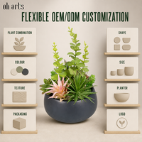 OH ARTS Plantes succulentes artificielles au toucher réel en pot, fausse verdure UV, mini bonsaï sans entretien pour la décoration de la maison et du jardin