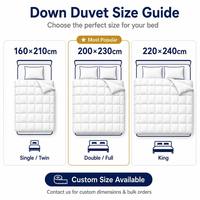 Couette en duvet de canard blanc de luxe personnalisable avec logo, écologique, de haute qualité, douce et respirante pour la maison