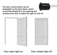 Kontrol Pintu Kecil Hitam Abu-abu 12V 24V/DC Identifikasi Otomatis LED Kabinet Furnitur Pencahayaan Sakelar Sensor Dapat Dilepas