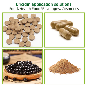 Nhà Máy Bán buôn Horny dê cỏ dại Maca gốc icariin 99% <span class=keywords><strong>epimedium</strong></span> chiết xuất bột - Product Image 4