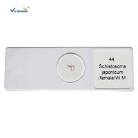 High Quality 40pcs Parasitology Microscope Prepared Slides