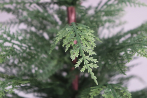 Alberi di Cedro Artificiali Resistenti ai Raggi UV da 60 cm, Decorazioni Natalizie, <span class=keywords><strong>Piante</strong></span> in Vaso per Portico, Soggiorno, Ufficio - Product Image 3