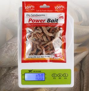 TOPIND 10g Vermes rouges en PVC, <span class=keywords><strong>vers</strong></span> <span class=keywords><strong>de</strong></span> sable secs, mille-pattes <span class=keywords><strong>de</strong></span> mer, appât vivant, technique <span class=keywords><strong>de</strong></span> pêche au fond, 15g, vente en gros transfrontalière <span class=keywords><strong>pour</strong></span> <span class=keywords><strong>la</strong></span> carpe et <span class=keywords><strong>la</strong></span> pêche en mer - Product Image 4