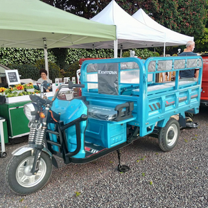 Tricycle électrique de transport pour adultes, tout-en-un, pour passagers et marchandises, avec abri pluie en option pour une utilisation par tous les temps - Product Image 1