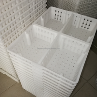 Cage de transport pour poussins, cage à poulets/cage de transport pour volailles, boîte à pigeons à 4 trous