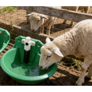 Abreuvoir automatique pour animaux à pâturage avec mécanisme <span class=keywords><strong>de</strong></span> valve à flotteur fiable - Product Image 1