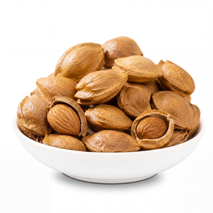 Noci di <span class=keywords><strong>Albicocca</strong></span> Naturali Premium OEM all'Ingrosso, Semi di <span class=keywords><strong>Albicocca</strong></span> in Confezione da 5kg, Fornitura Diretta dalla Fabbrica - Product Image 1