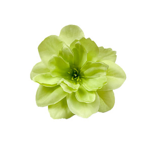 Cabezas de flores artificiales de albaireca de 7,5 cm de diámetro para horquillas DIY, decoraciones de boda, arreglos florales para el hogar, accesorios de fotografía - Product Image 5
